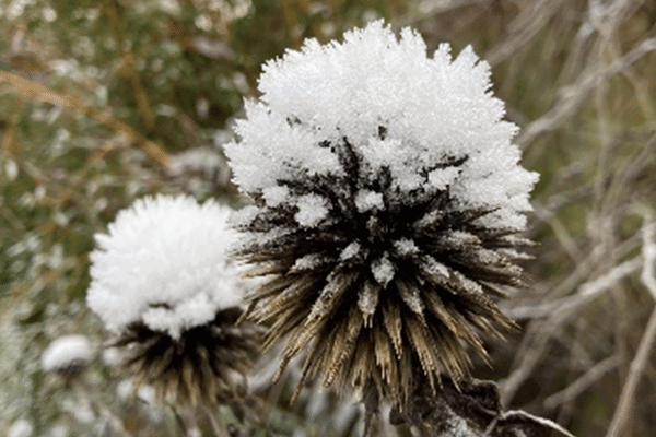 Preparing For The 2023 GCN Edna Testing Season