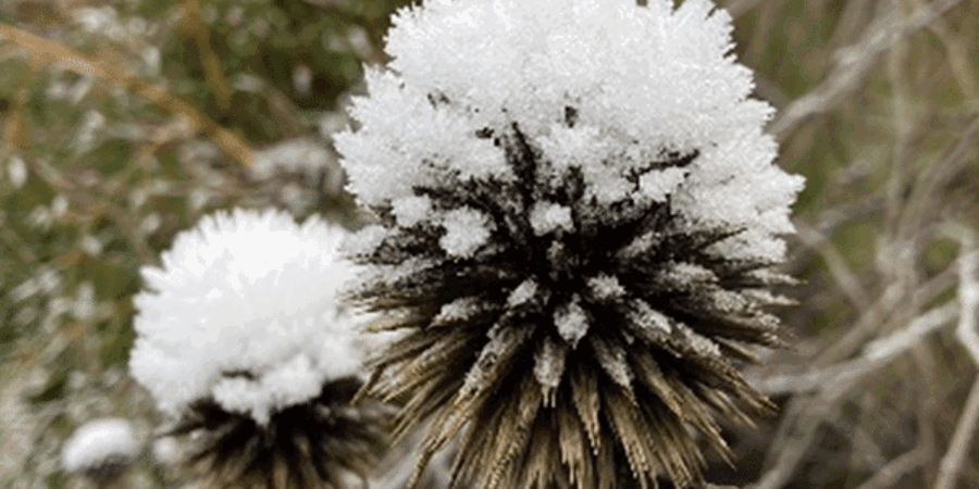 Preparing For The 2023 GCN Edna Testing Season