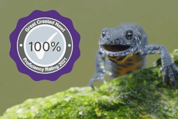 Gcn 2021 Proficiency Blog Preview