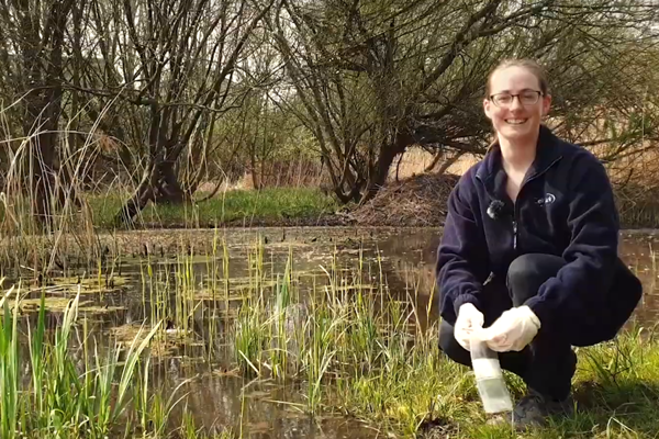 Testing Video Blog Preview