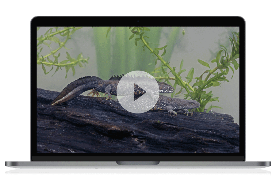 Watch our eDNA sampling video