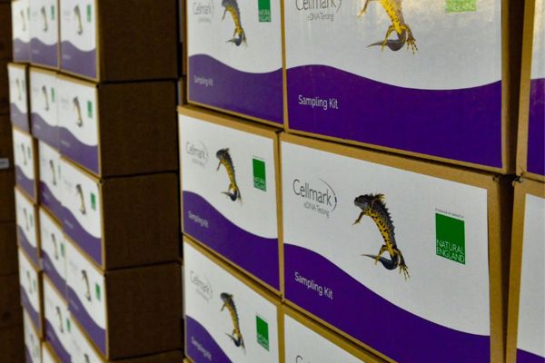 Natural England Newt Kits