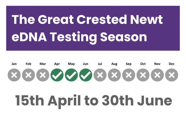 The GCN Testing Season Website (1)