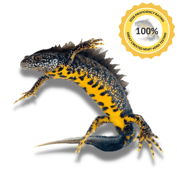 2026 FAPAS Trials 600 X 600 Optimised